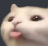 Bleh